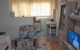 Apartment Vuk